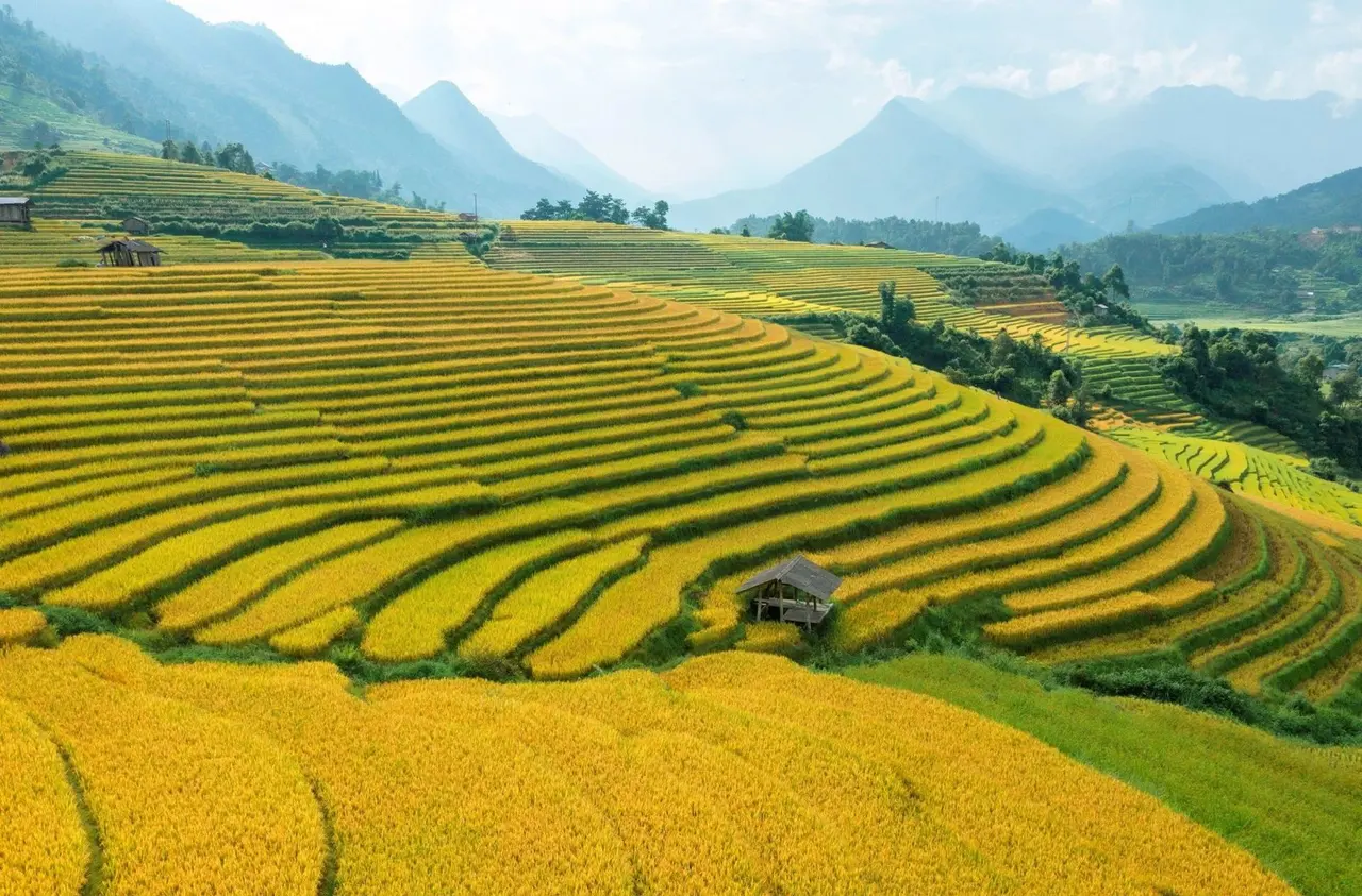 Nature, Vietnam