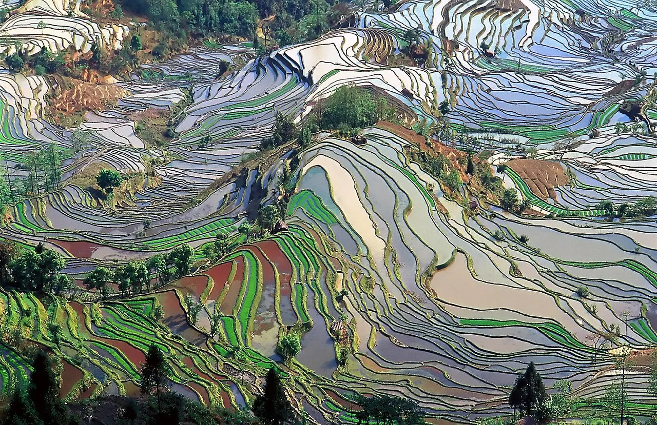 Nature, China