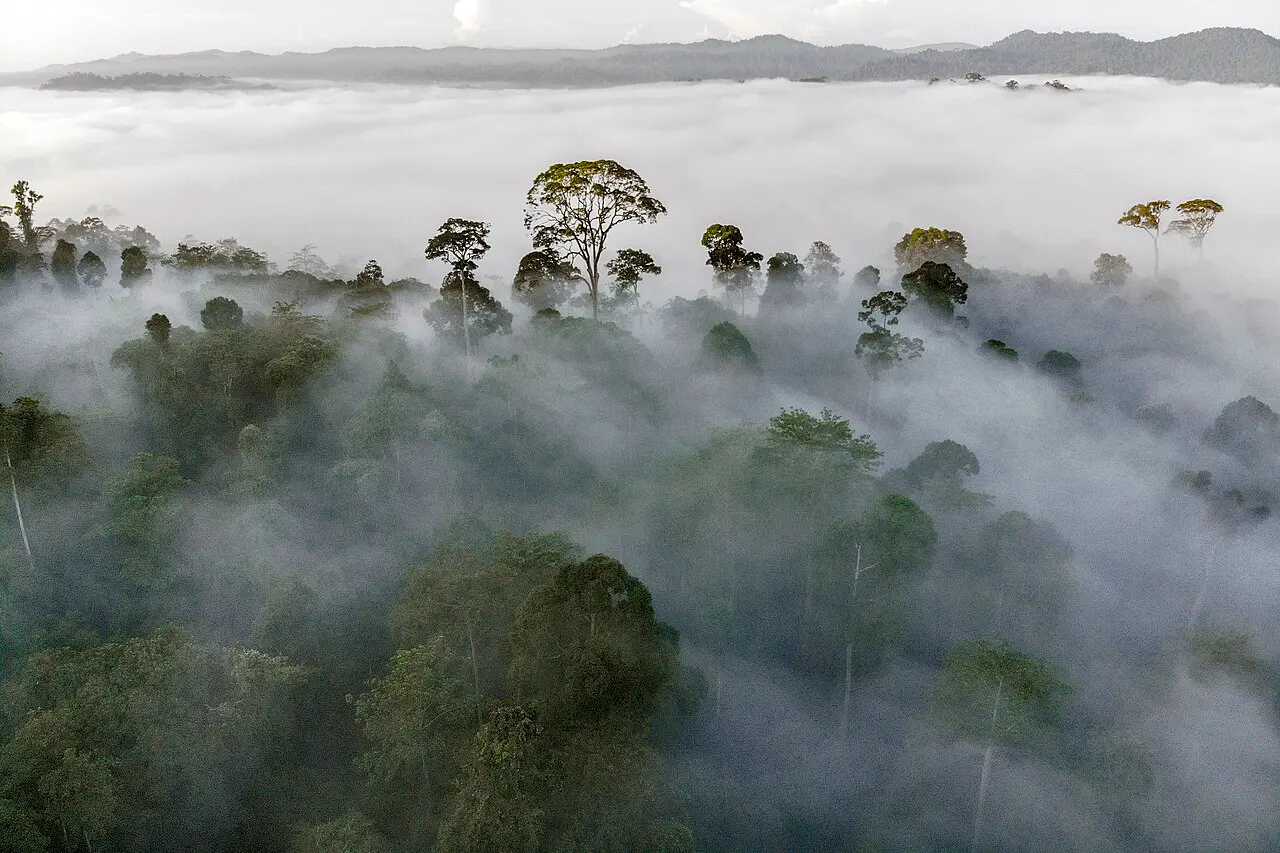 Nature, Malaysia