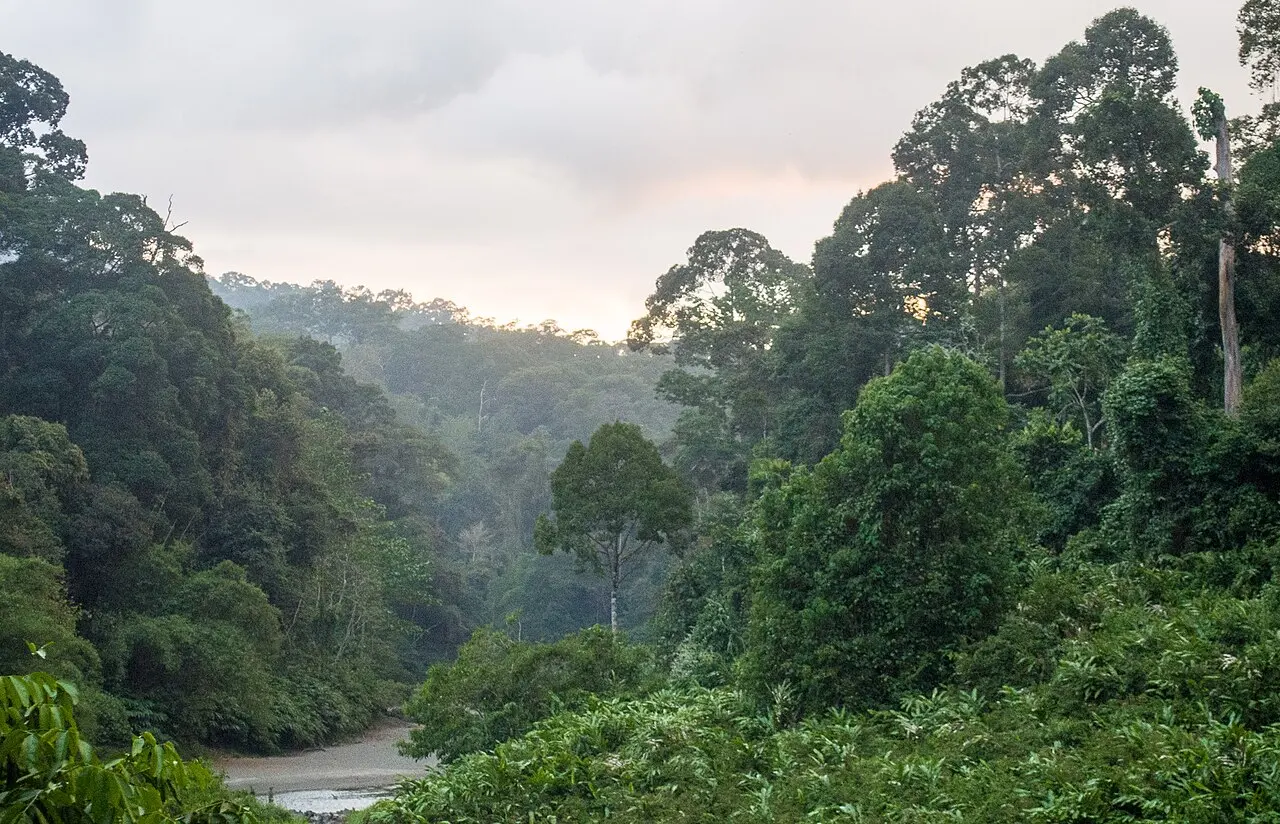 Nature, Malaysia