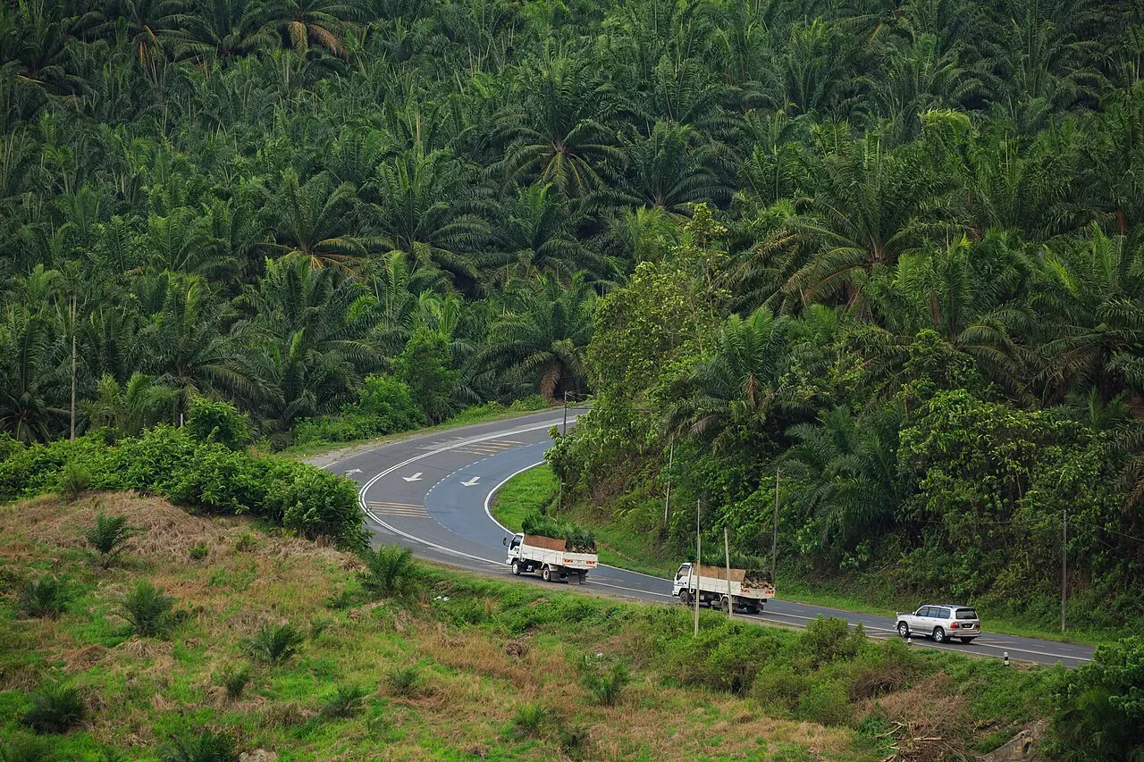 Roads & driving, Malaysia