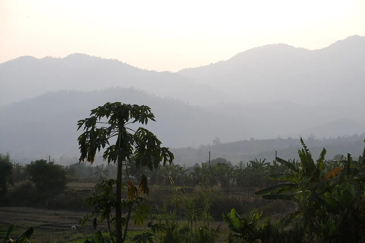 Nature, Thailand