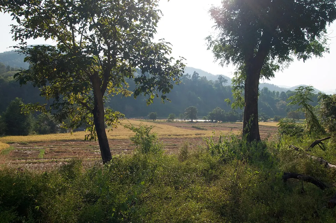Nature, Thailand