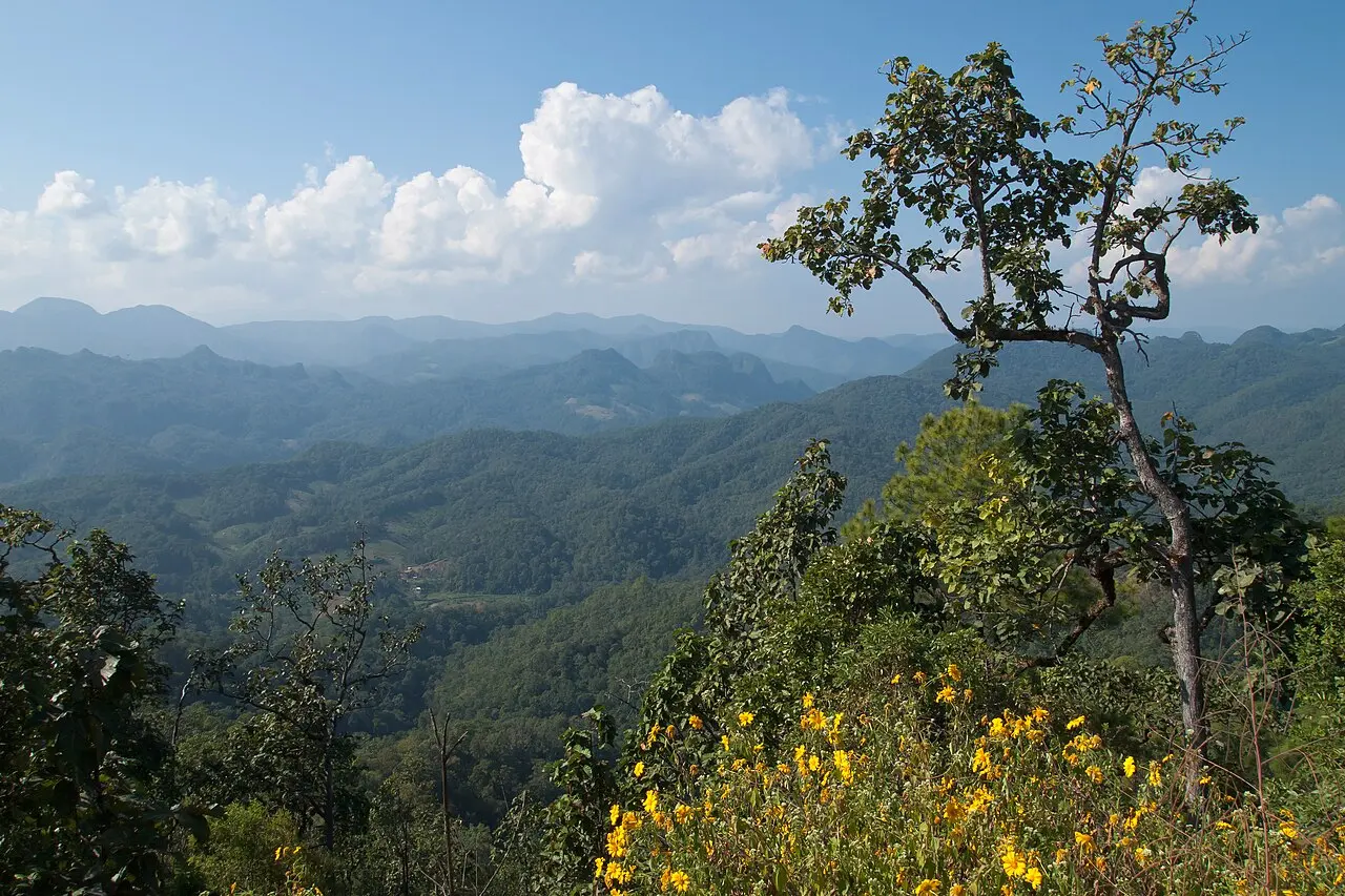 Nature, Thailand