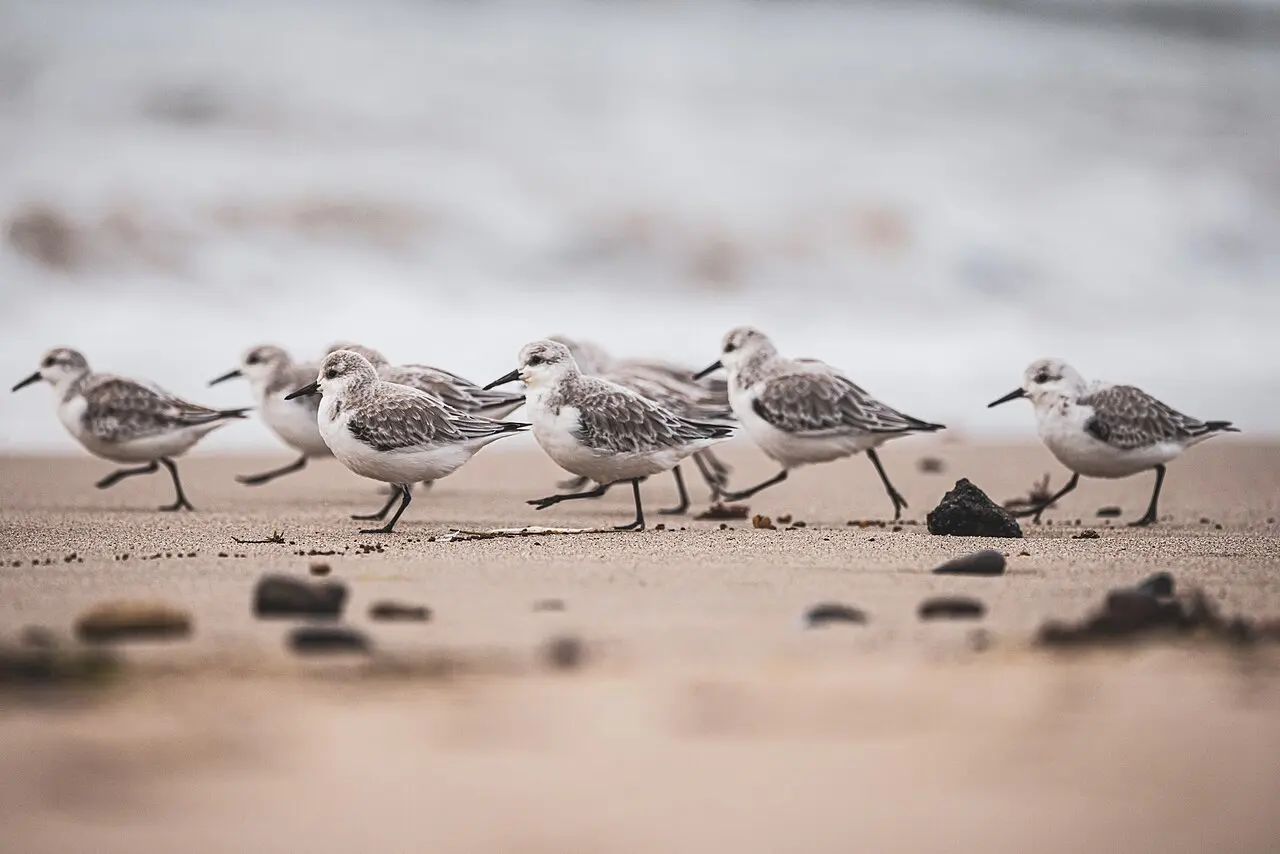 Beaches & coast, United States